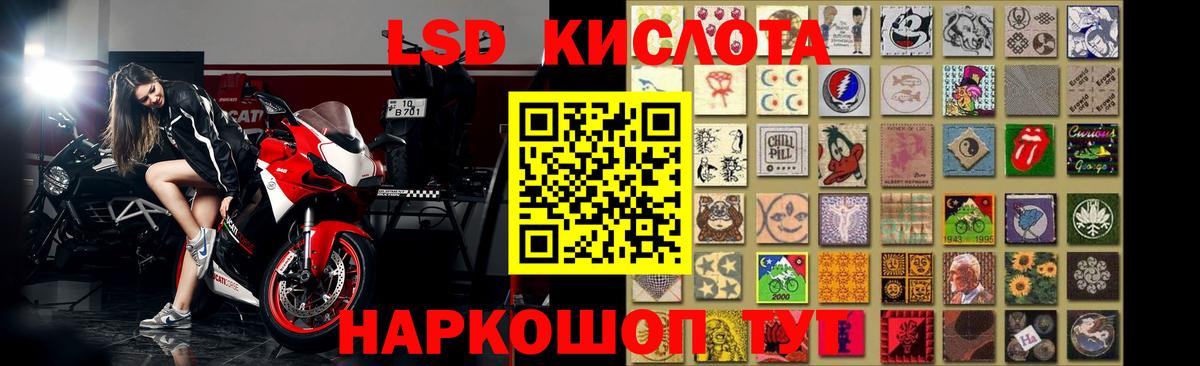 Камышлов  LSD-25 экстази кислота  LSD-25 экстази кислота  LSD-25 экстази  Вход с VPN 